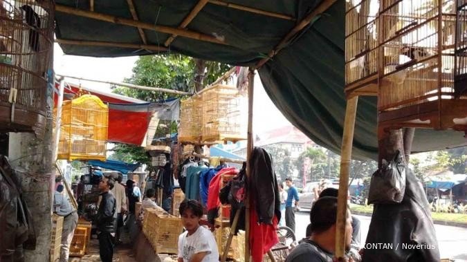 Sentra burung Sukahaji: Rezeki meluber (2)