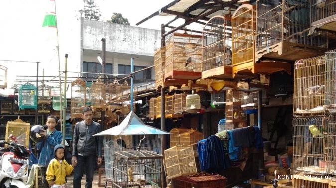 Sentra burung Sukahaji: Pasokan berlimpah (3)