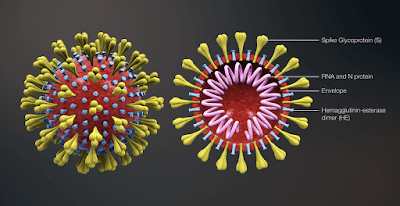 Virus Corona