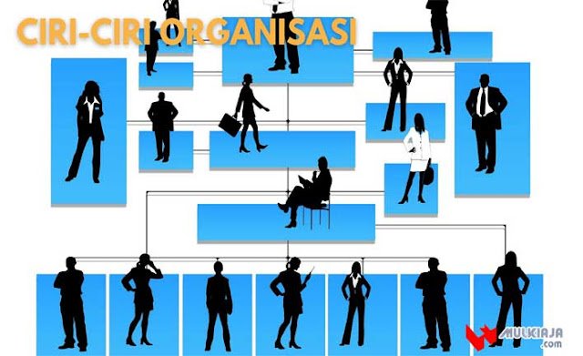 Ciri-ciri Organisasi Ciri-ciri Organisasi