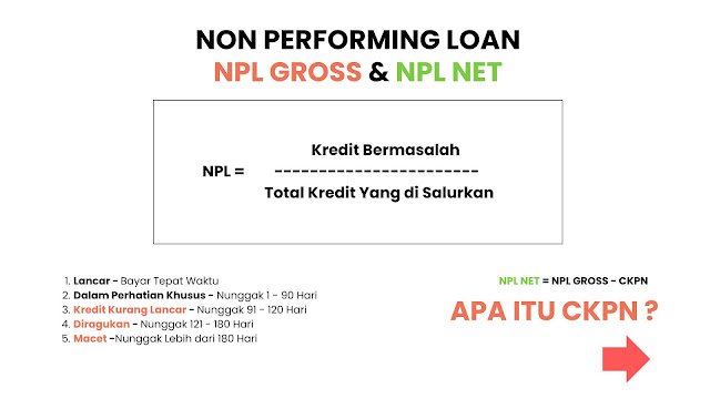 NPL Gross