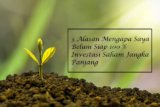 3 Alasan Mengapa Saya Belum Siap 100 % Investasi Saham Jangka Panjang