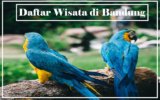 7 Daftar Wisata di Bandung yang Seru untuk Liburan