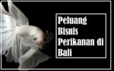 Potensi dan Tantangan Peluang Bisnis Perikanan di Bali yang Menguntungkan