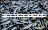 Peluang Bisnis Perikanan di Jakarta Pusat dan Hal Penting yang Wajib Dipahami
