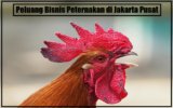 Peluang Bisnis Peternakan di Jakarta Pusat dengan Menyulap Kota Menjadi Lahan Usaha