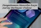 Pengalaman Kerja Survey Berbayar Online, Beneran Menjanjikan?