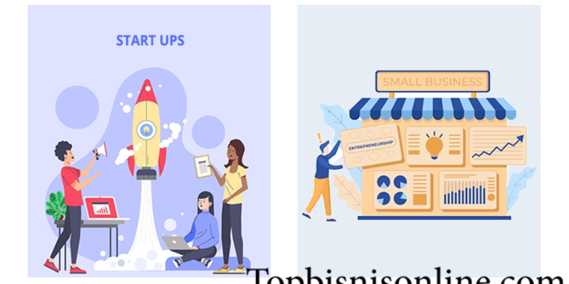 Start-Up Digital vs Toko Online Kecil: Perbedaan Mendasar dan Strategi Bisnis Online yang Tepat