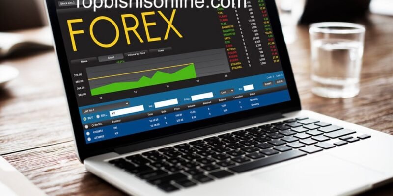 Analisis Broker Forex Lokal vs Internasional: Spread, Regulasi & Biaya