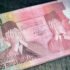 33 Ide Usaha Jitu Bidang Peternakan Modal Kecil | Bisnis UKM Menguntungkan